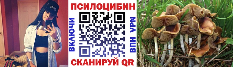 Галлюциногенные грибы Magic Shrooms  Купить где  Реж 